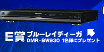 E賞 ブルーレイディーガ DMR-BW930 1名様