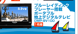 ブルーレイディスクプレーヤー搭載ポータブル地上デジタルテレビ DMP-BV100