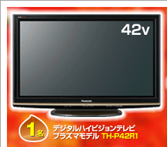 デジタルハイビジョンテレビ プラズマモデル（TH-P42R1）