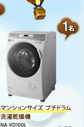 1名　マンションサイズ プチドラム 洗濯乾燥機 NA-VD100L