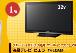 1名　ブルーレイ＆HDD内蔵 オールインワンモデル 液晶テレビ ビエラ TH-L32RB3