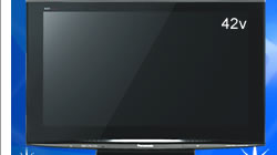 HDD搭載プラズマテレビ　ビエラTH-42PZR900　1名様