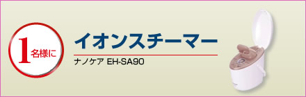 【1名様に】イオンスチーマー(ナノケア EH-SA90)