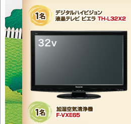 デジタルハイビジョン 液晶テレビ ビエラ TH-L32X2