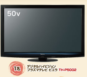 デジタルハイビジョン プラズマテレビ ビエラ TH-P50G2