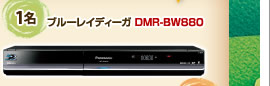 ブルーレイディーガ DMR-BW880
