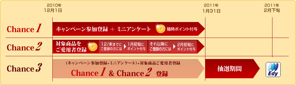 キャンペーン期間：2010年12月1日～2011年1月31日 ポイント付与：2011年2月下旬