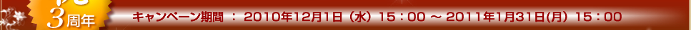 キャンペーン期間：
2010年12月1日（水）15時～2011年1月31日（月）15時