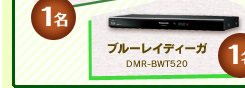 1名　ブルーレイディーガ　DMR-BWT520
