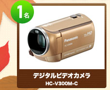 1名 デジタルビデオカメラ　HC-V300M-G