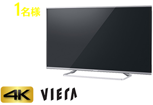 VIERA 4K対応テレビ TH-40AX700