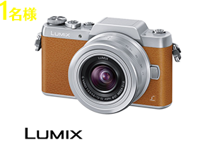 デジタル一眼カメラ DMC-GF7W