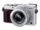 デジタルカメラ（シルバー）「DMC-LX100-S」