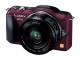 デジタル一眼カメラ/レンズキット（センシュアルブラウン）「DMC-GF5X-T」